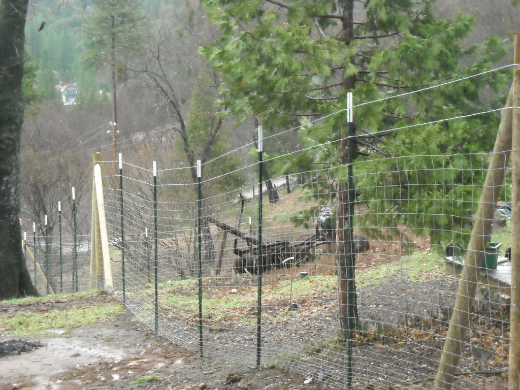 Deer Fence Placerville