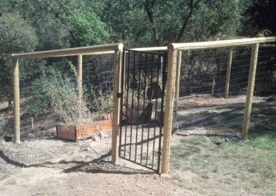 Pet Fence & Gate